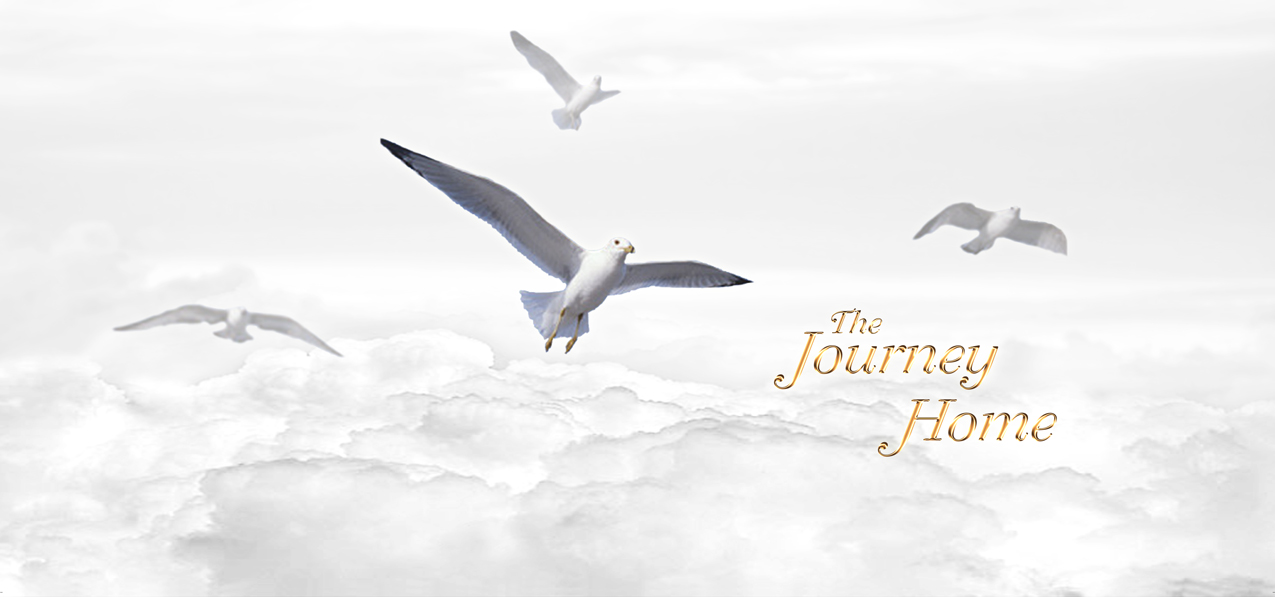 P 101 WT GD Journey Home Clouds Birds White Gold